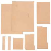 Donec Ac Tempus